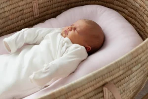 Merino Wool Nesting Pod 3-in-1 with Blossom Pink Covers (Lead-Time)